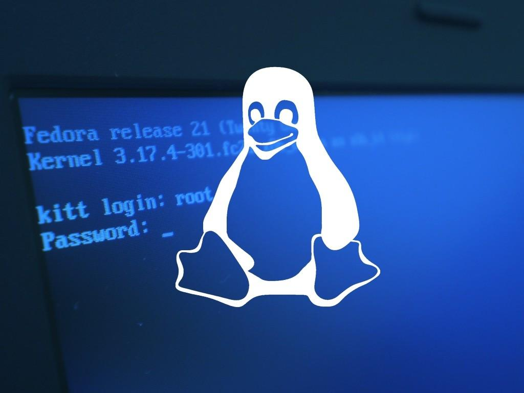Linux服務(wù)器怎么刪除文件夾 Linux服務(wù)器怎么刪除文件夾